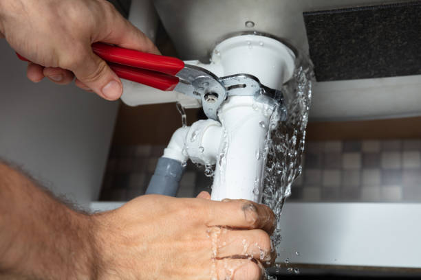 Best Flood restoration services  in Zeeland, MI