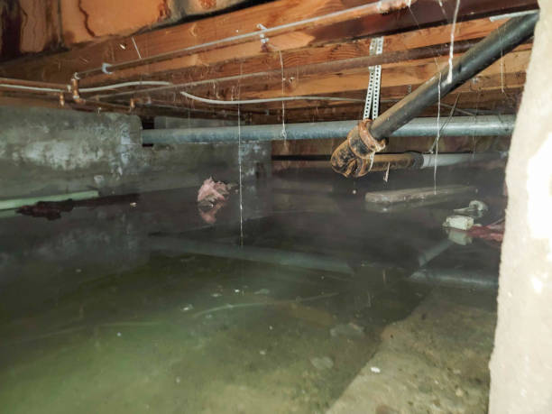Best Emergency water damage restoration  in Zeeland, MI