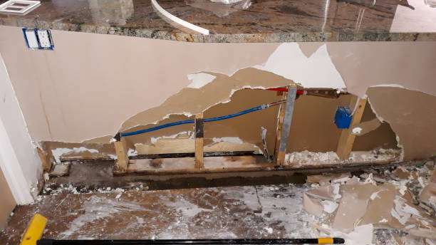 Best Fire Damage Restoration  in Zeeland, MI