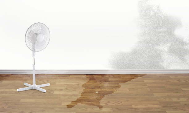 Best Professional water damage repair  in Zeeland, MI