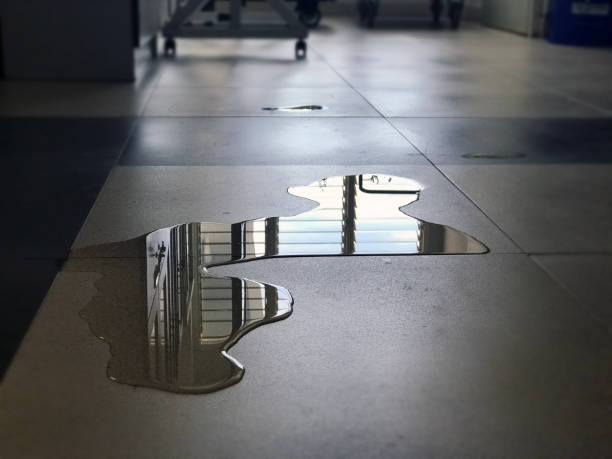 Best Water damage restoration near me  in Zeeland, MI