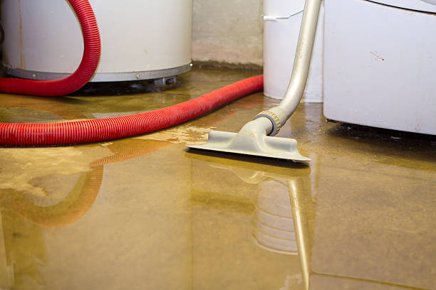  Zeeland, MI Water damage restoration Pros