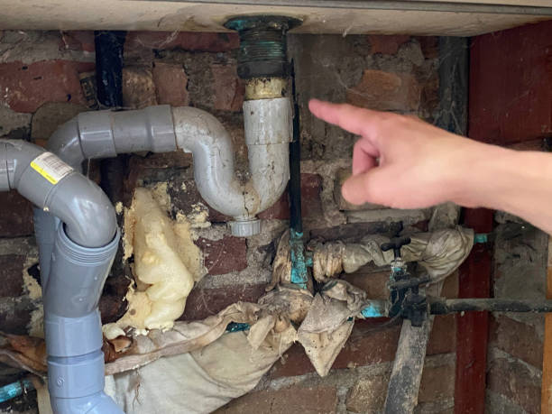 Best Water damage restoration near me  in Zeeland, MI