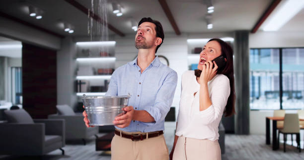 Best Emergency water damage restoration  in Zeeland, MI